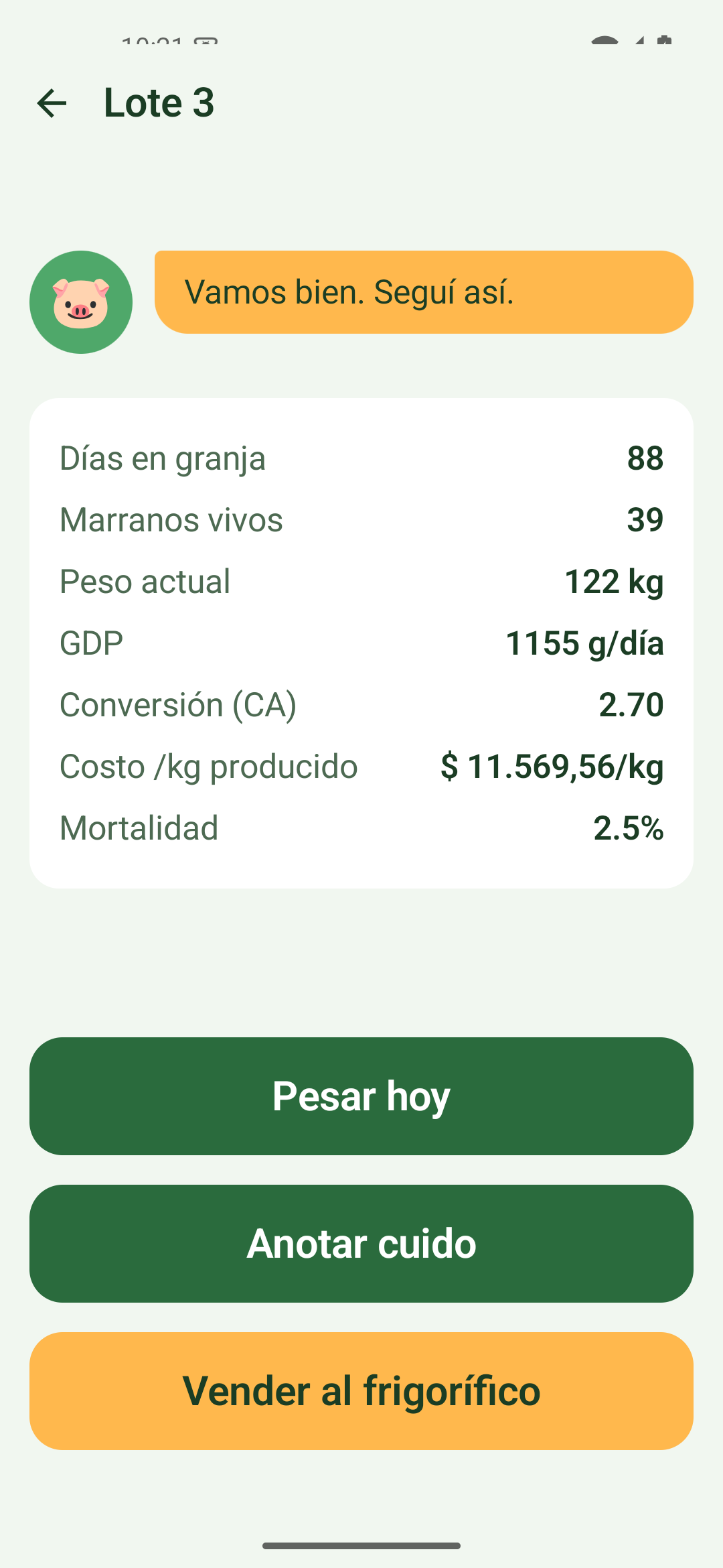 Detalle de lote