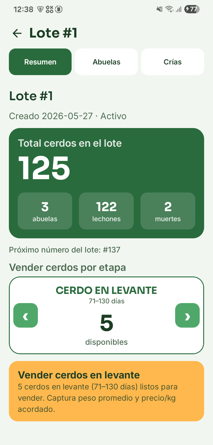 Detalle de un lote de cerdas en Porkia: total de cerdos, abuelas, lechones y venta por etapa.